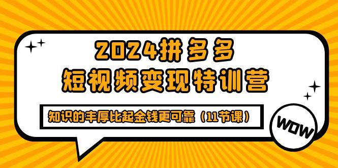 (9817期)2024拼多多短视频变现特训营，知识的丰厚比起金钱更可靠(11节课)-九洲网