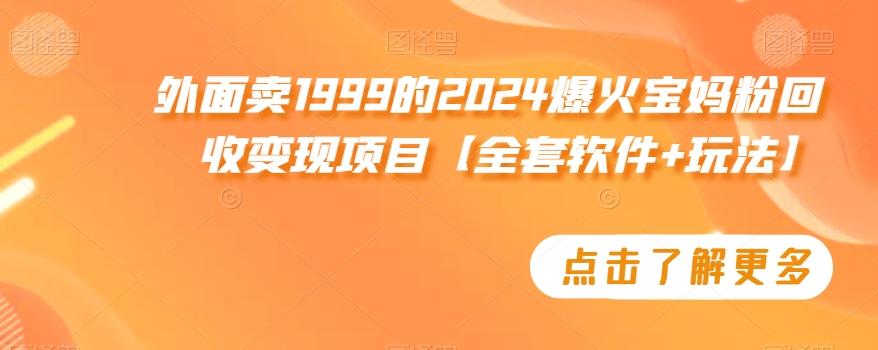 外面卖1999的2024爆火宝妈粉回收变现项目【全套软件+玩法】【揭秘】-九洲网