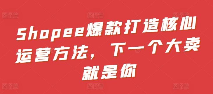 Shopee爆款打造核心运营方法，下一个大卖就是你-九洲网