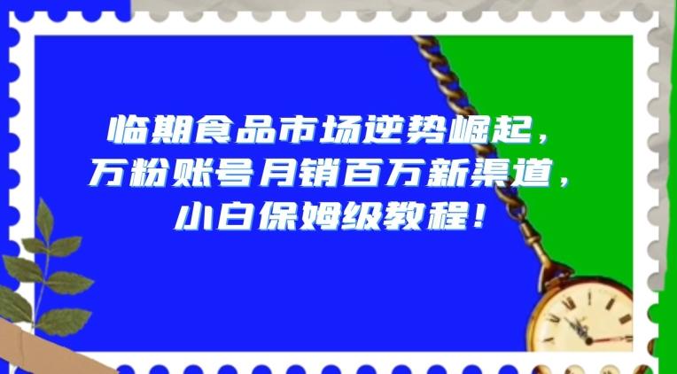 临期食品市场逆势崛起，万粉账号月销百万新渠道，小白保姆级教程【揭秘】-九洲网
