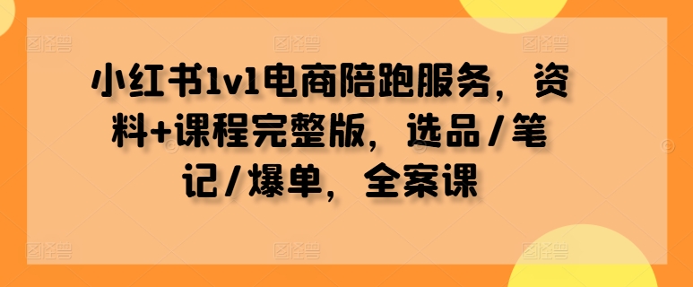 小红书1v1电商陪跑服务，资料+课程完整版，选品/笔记/爆单，全案课-九洲网
