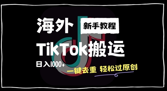 2024最新海外TikTok搬运玩法，一键去重轻松过原创，新手无经验也能日入1k【揭秘】-九洲网