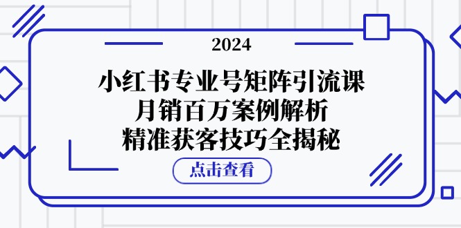 小红书专业号矩阵引流课，月销百万案例解析，精准获客技巧全揭秘-九洲网