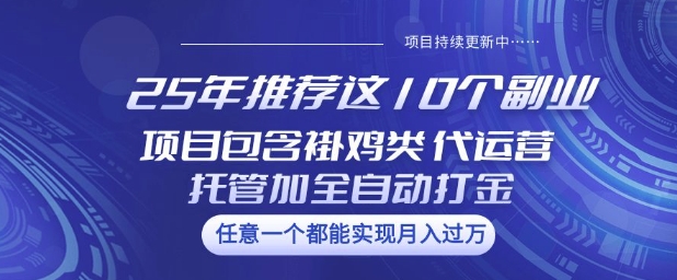 25年推荐这10个副业项目包含褂鸡类、代运营托管类、全自动打金类【揭秘】-九洲网