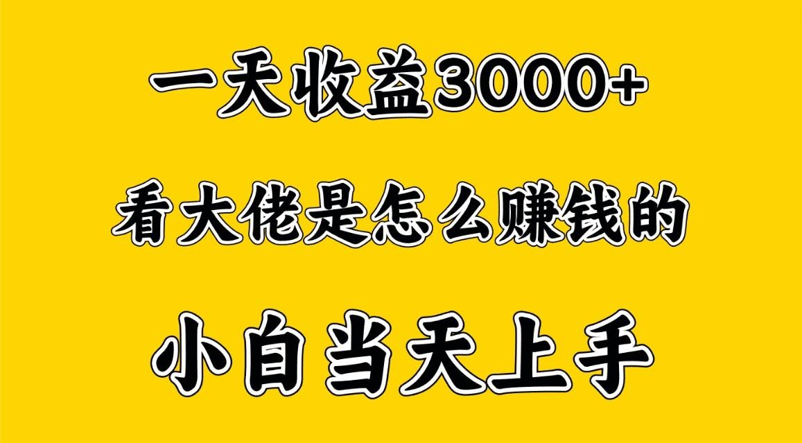 一天赚3000多，大佬是这样赚到钱的，小白当天上手，穷人翻身项目-九洲网