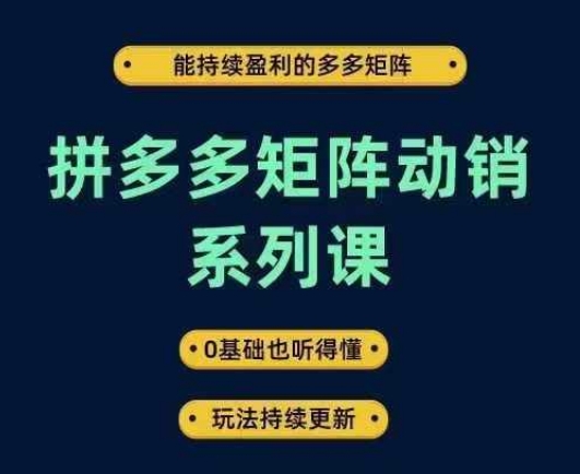 拼多多矩阵动销系列课，能持续盈利的多多矩阵，0基础也听得懂，玩法持续更新-九洲网
