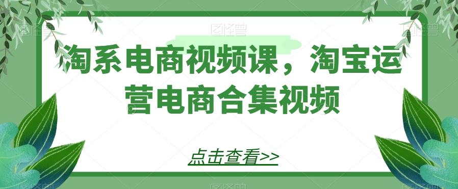 淘系电商视频课，淘宝运营电商合集视频-九洲网