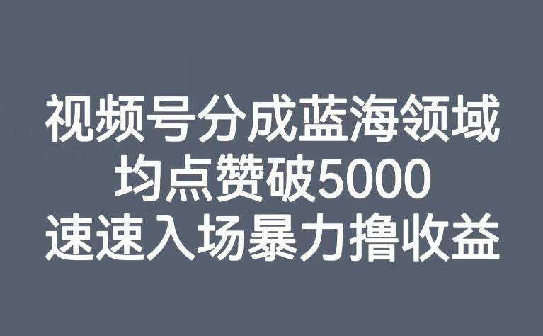视频号分成蓝海领域，均点赞破5000，速速入场暴力撸收益-九洲网