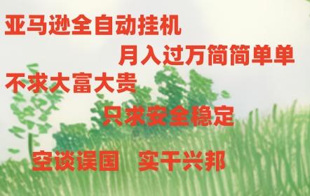 亚马逊全自动浏览挂机，，收益稳定且前景广阔-九洲网