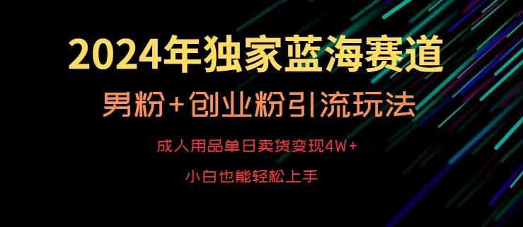 2024年独家蓝海赛道，成人用品单日卖货变现4W+，男粉+创业粉引流玩法，不愁搞不到流量【揭秘】-九洲网