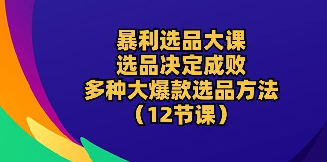 暴利 选品大课：选品决定成败，教你多种大爆款选品方法(12节课-九洲网