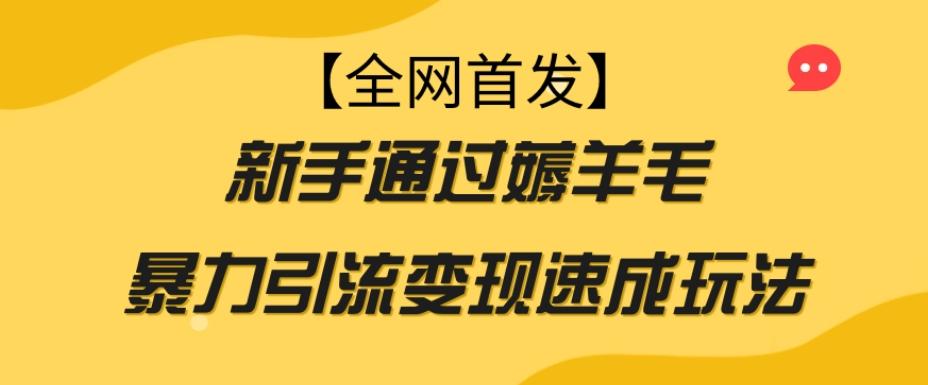 【全网首发】新手通过薅羊毛暴力引流变现速成玩法-九洲网