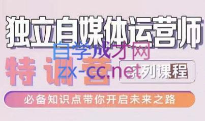 博老师·2024独立自媒体运营师特训营-九洲网