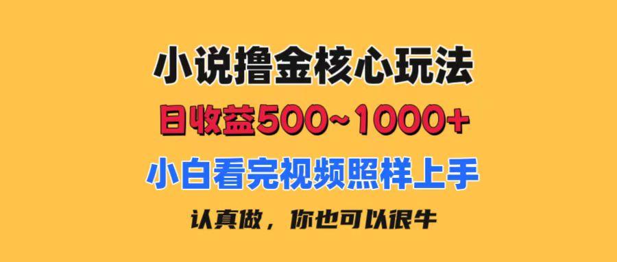 小说撸金核心玩法，日收益500-1000+，小白看完照样上手，0成本有手就行-九洲网
