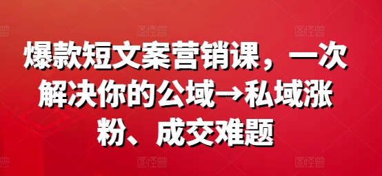 爆款短文案营销课，一次解决你的公域→私域涨粉、成交难题-九洲网