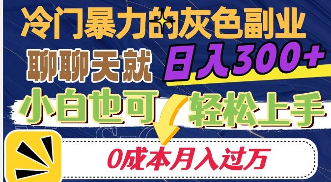 冷门暴利的副业项目，聊聊天就能日入300+，0成本月入过万【揭秘】-九洲网