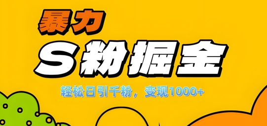 单人单机日引千粉，变现1k+，S粉流量掘金计划攻略【揭秘】-九洲网