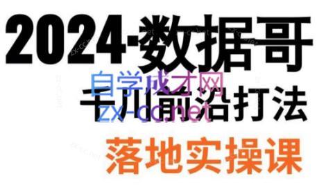 数据哥·2024年千川前沿打法落地实操课-九洲网