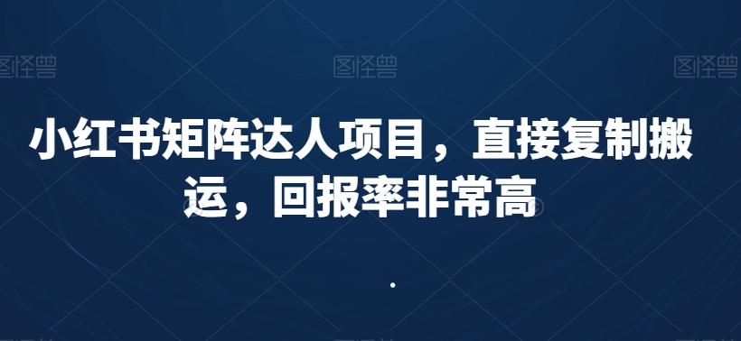 小红书矩阵达人项目，直接复制搬运，回报率非常高-九洲网
