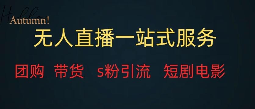 无人直播一站式服务（教程以及变现方式）-九洲网