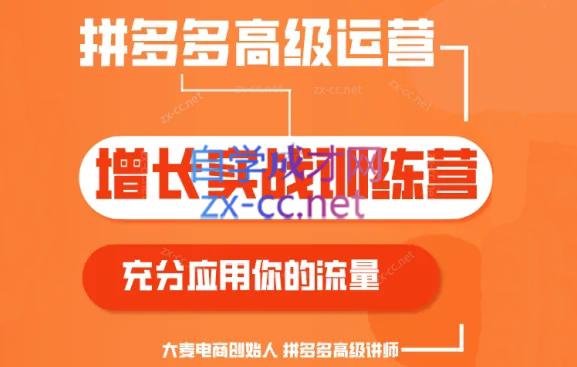 大麦老师·拼多多单品爆款打造课程(更新6月)-九洲网