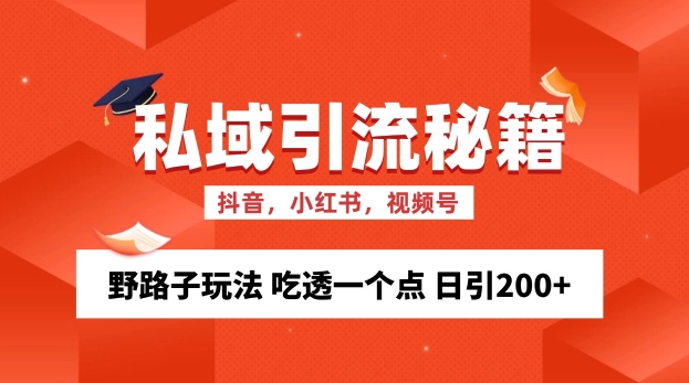 私域流量的精准化获客方法 野路子玩法 吃透一个点 日引200+ 【揭秘】-九洲网