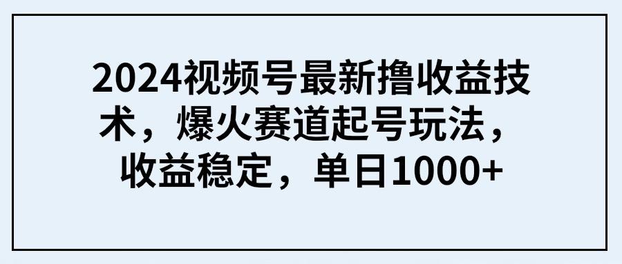 (9651期) 2024视频号最新撸收益技术，爆火赛道起号玩法，收益稳定，单日1000+-九洲网
