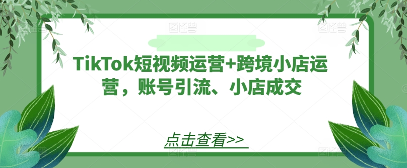 TikTok短视频运营+跨境小店运营，账号引流、小店成交-九洲网