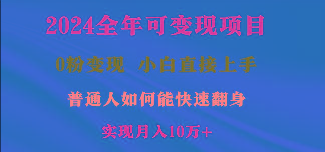 2024全年可变现项目，一天收益至少2000+，小白上手快，普通人就要利用互...-九洲网