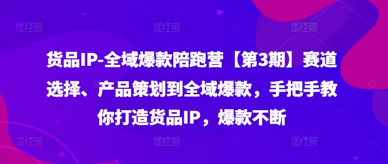 货品IP全域爆款陪跑营【第3期】赛道选择、产品策划到全域爆款，手把手教你打造货品IP，爆款不断-九洲网