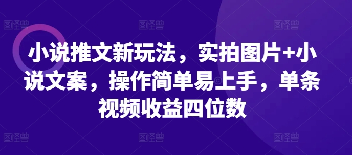 小说推文新玩法，实拍图片+小说文案，操作简单易上手，单条视频收益四位数-九洲网