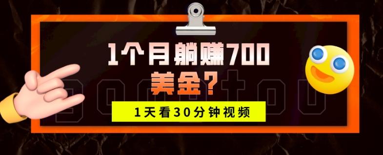 1天看30分钟视频，1个月躺赚700美金？-九洲网