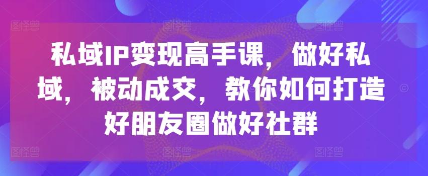私域IP变现高手课，做好私域，被动成交，教你如何打造好朋友圈做好社群-九洲网