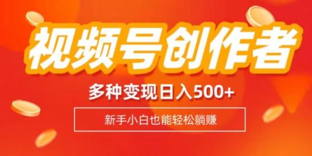视频号创作者计划，多种变现方式，日入500+【内附1080g视频素材】-九洲网
