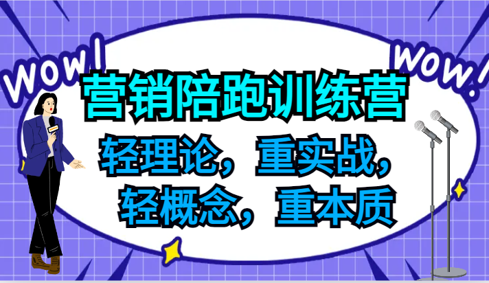 营销陪跑训练营，轻理论，重实战，轻概念，重本质，适合中小企业和初创企业的老板-九洲网
