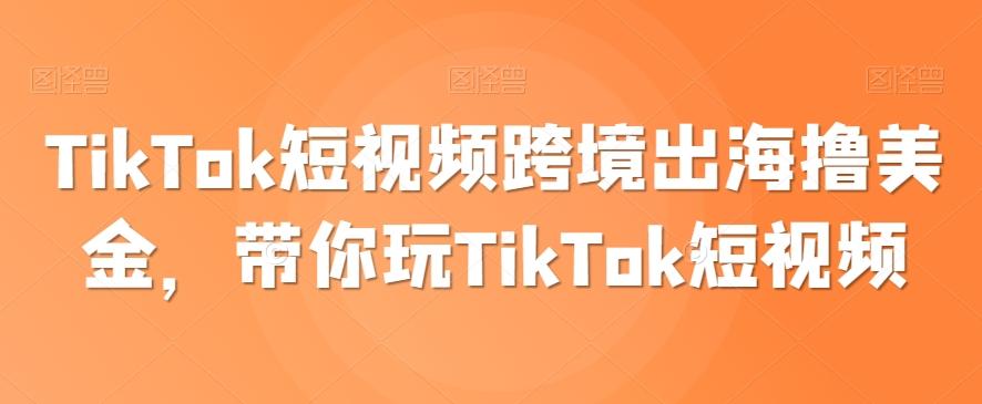 TikTok短视频跨境出海撸美金，带你玩TikTok短视频-九洲网