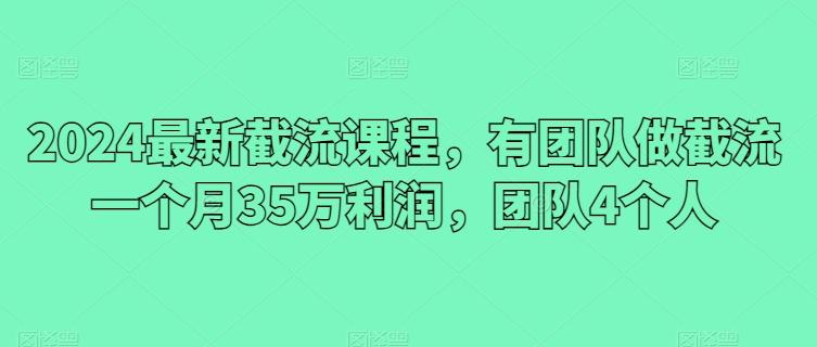 2024最新截流课程，有团队做截流一个月35万利润，团队4个人-九洲网