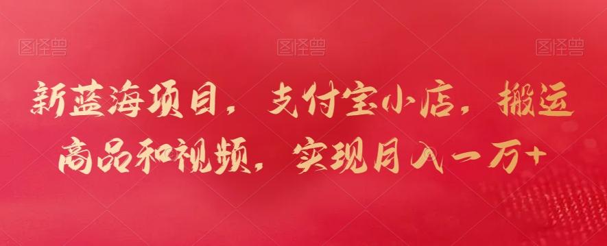 新蓝海项目，支付宝小店，搬运商品和视频，实现月入一万+【揭秘】-九洲网