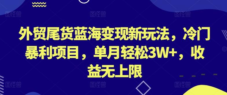 外贸尾货蓝海变现新玩法，冷门暴利项目，单月轻松3W+，收益无上限【揭秘】-九洲网