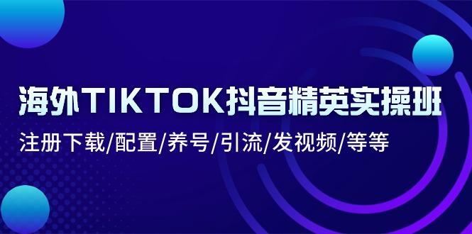 海外TIKTOK抖音精英实操班：注册下载/配置/养号/引流/发视频/等等-九洲网