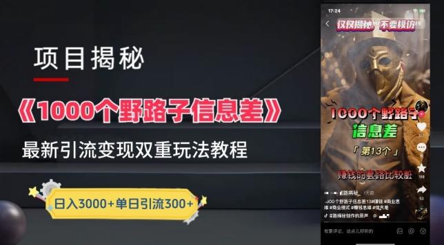 一千个野路子信息差最新玩法教程-变现+引流的玩法具体拆解【揭秘】-九洲网