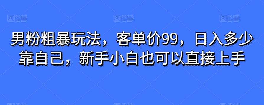 男粉粗暴玩法，客单价99，日入多少靠自己，新手小白也可以直接上手-九洲网