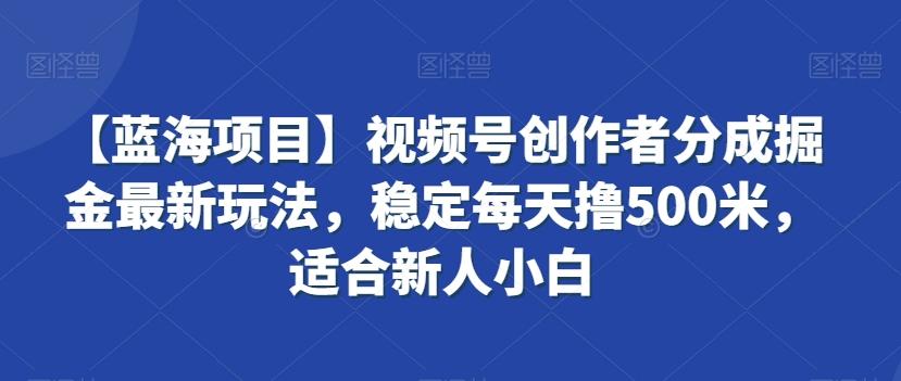 【蓝海项目】视频号创作者分成掘金最新玩法，稳定每天撸500米，适合新人小白【揭秘】-九洲网