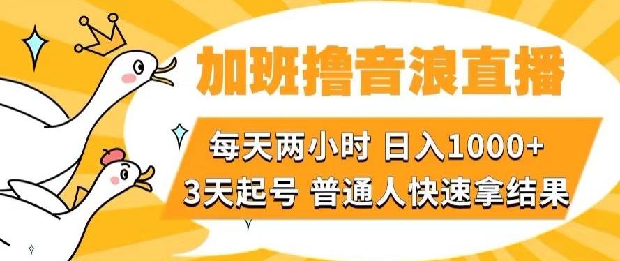 加班撸音浪直播，每天两小时，日入1000+，直播话术才3句，3天起号，普通人快速拿结果【揭秘】-九洲网