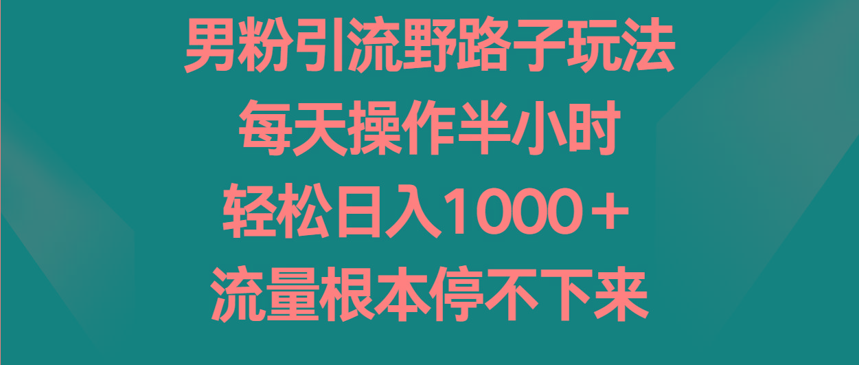 男粉引流野路子玩法，每天操作半小时轻松日入1000＋，流量根本停不下来-九洲网