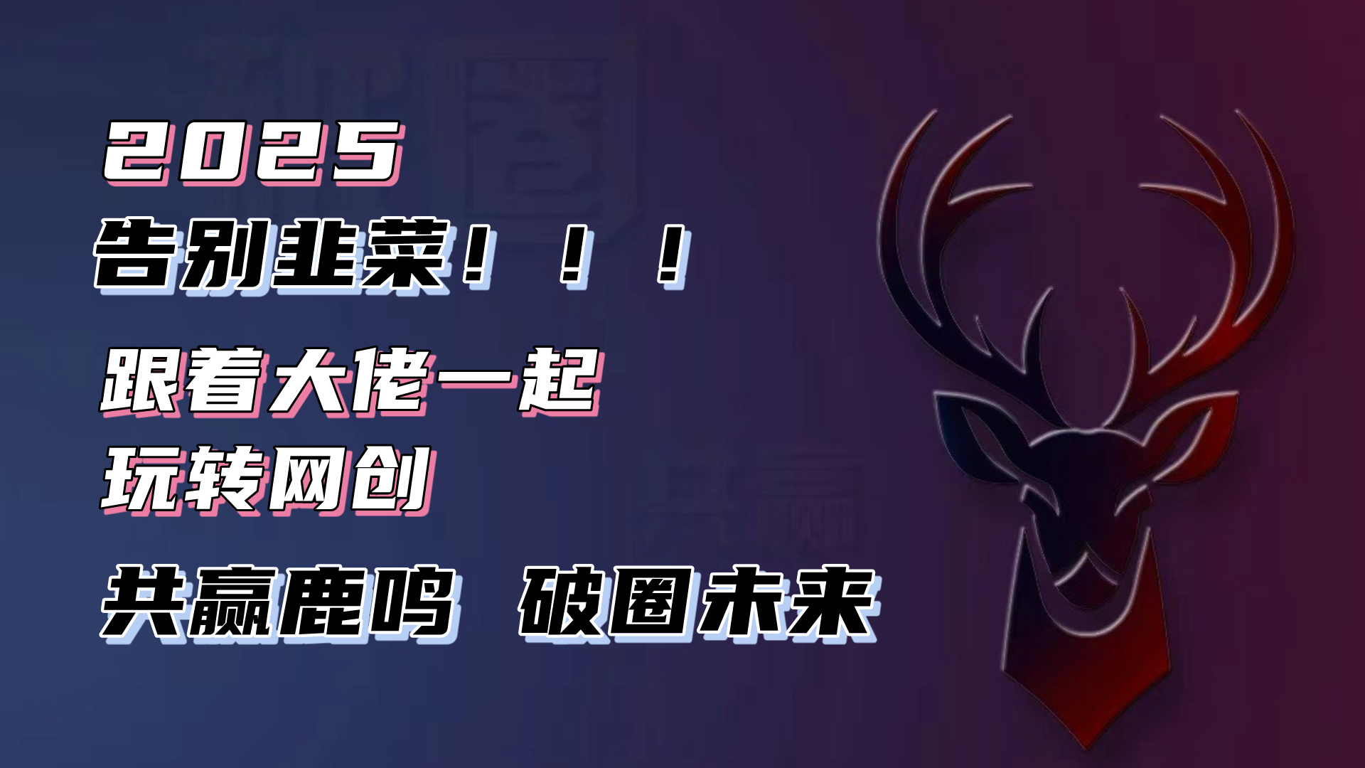 告别韭菜！2025知识付费风口项目，小白也能闭眼操作！-九洲网