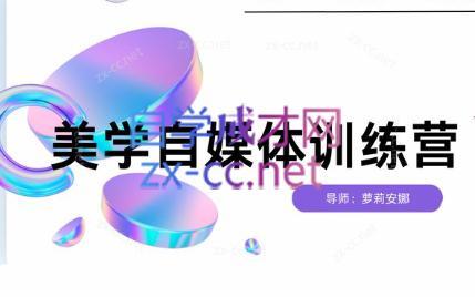 安娜·美学自媒体IP系统课-九洲网