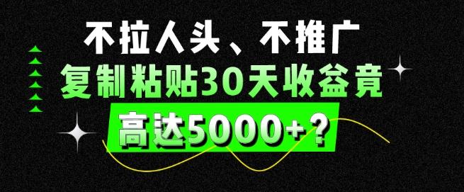 不拉人头、不推广，复制粘贴30天收益竟高达5000+？-九洲网