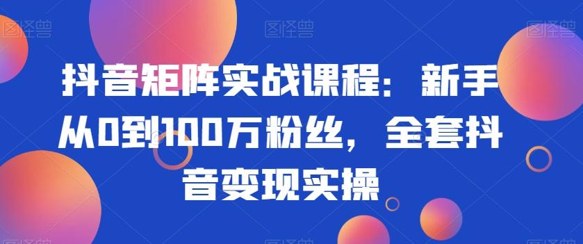 抖音矩阵实战课程：新手从0到100万粉丝，全套抖音变现实操-九洲网