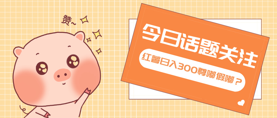 全新红薯浏览，打破常规 双端操作，每天运行6小时，让你获得工作以外的...-九洲网